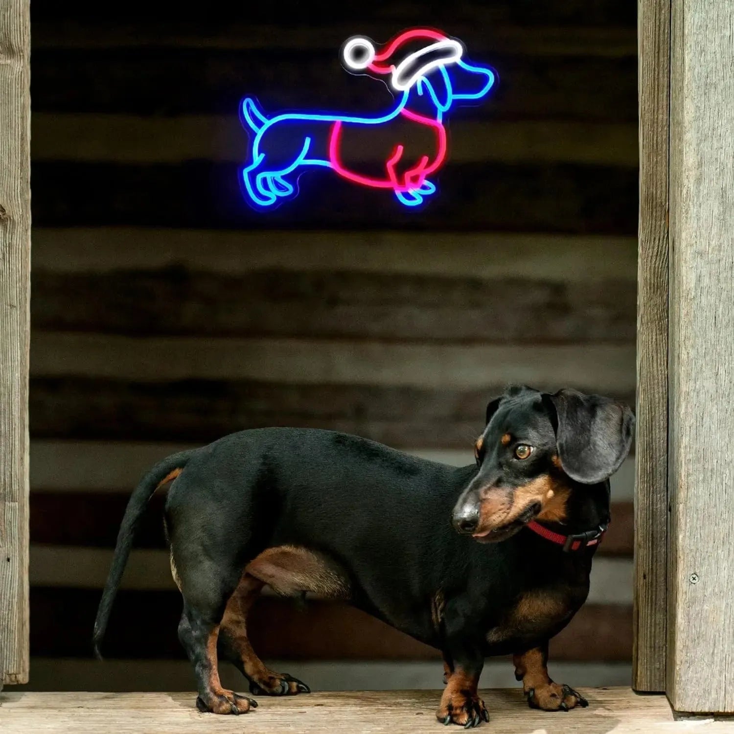 Santa Dachshund Neon Sign The Doxie World