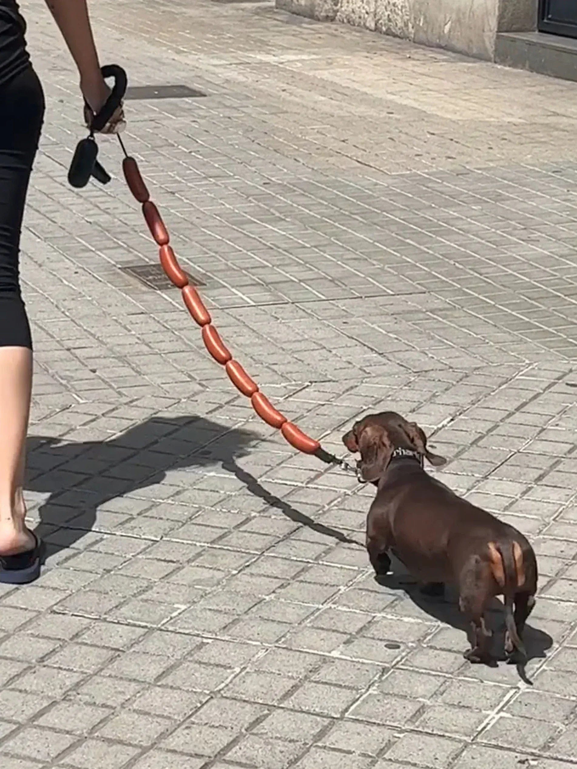 Sausage Dog Dachshund Leash 42"/107 cm The Doxie World