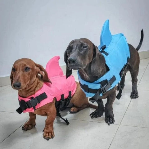 Shark Life Jacket For Dachshund pink / XS 1-6KG The Doxie World