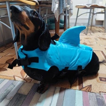 Weiner dog life store jacket