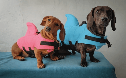 Shark Life Jacket For Dachshund Blue / XS 1-6KG The Doxie World