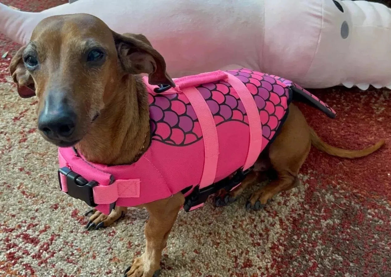 Shark-Mermaid Dachshund Life Jacket rosered / XS 2-4kg The Doxie World