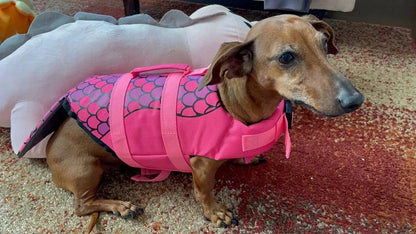 Shark-Mermaid Dachshund Life Vest The Doxie World