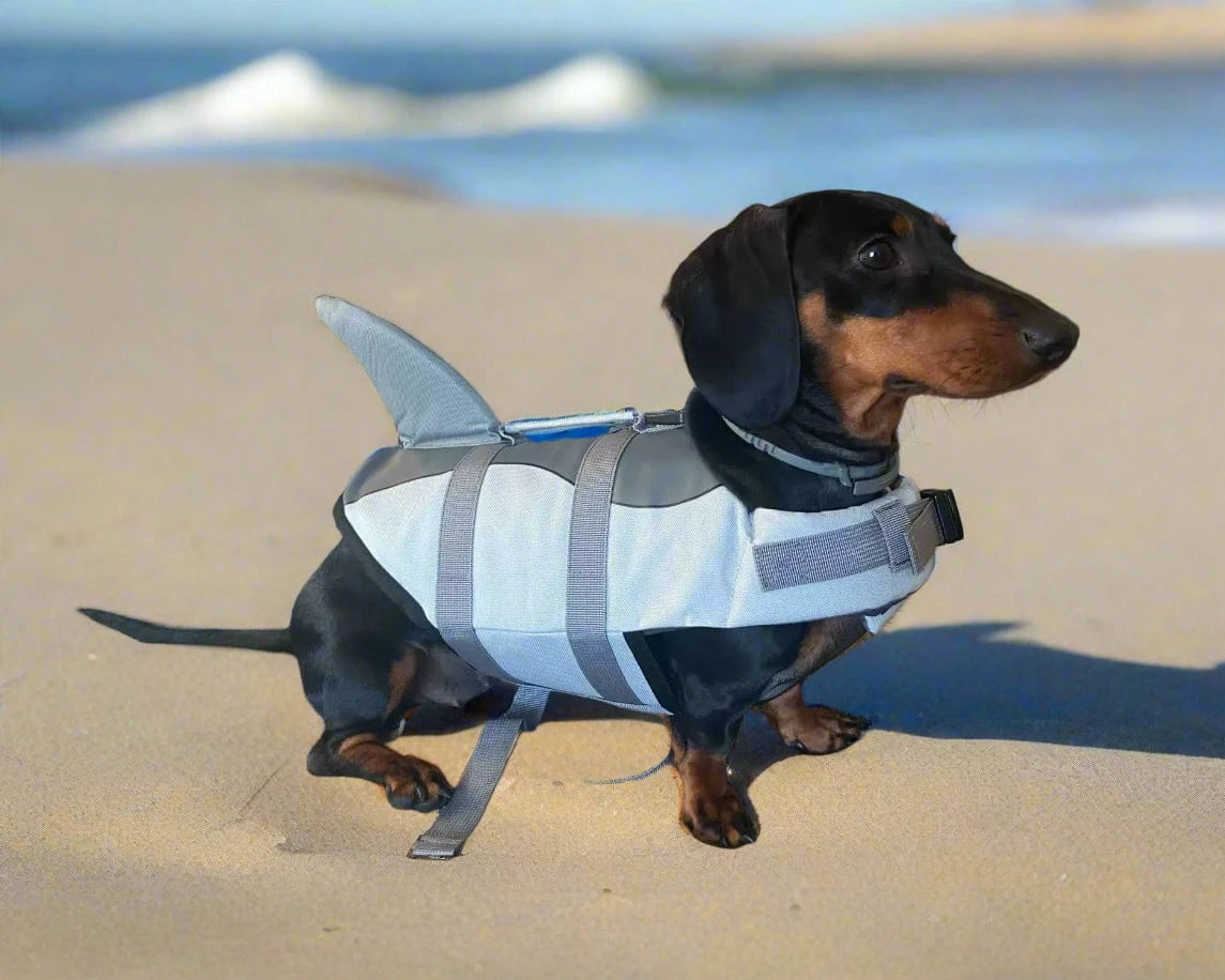 Shark Wiener Dog Life Jacket The Doxie World