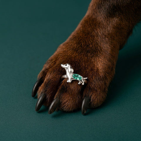 Silver Doxie Ring and Earrings The Doxie World