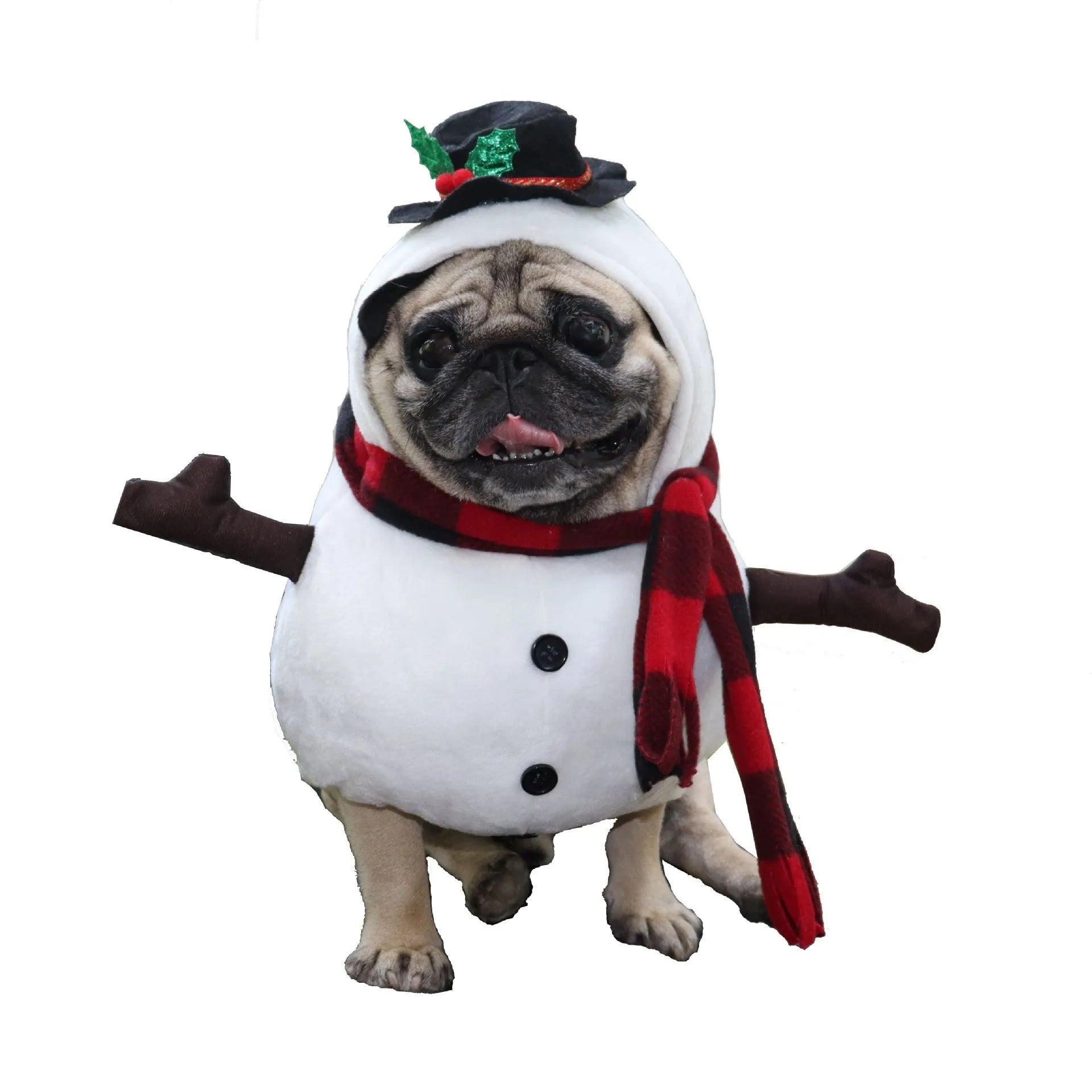 Snowman Dachshund Dog Costume The Doxie World