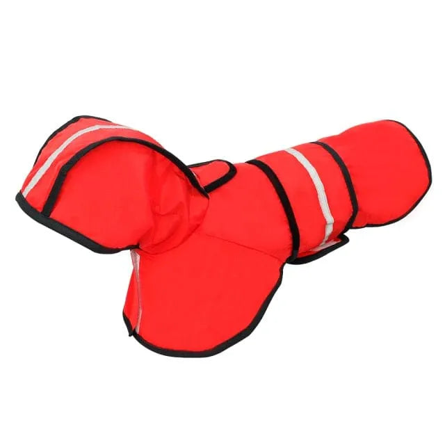 Sporty Dachshund Raincoat thedoxieworld