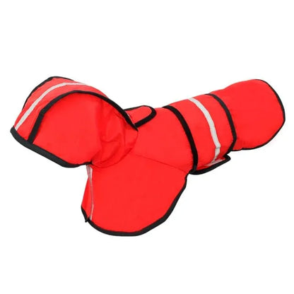 Sporty Dachshund Raincoat thedoxieworld