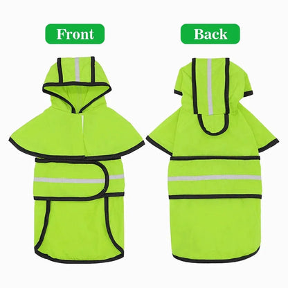 Sporty Dachshund Raincoat thedoxieworld