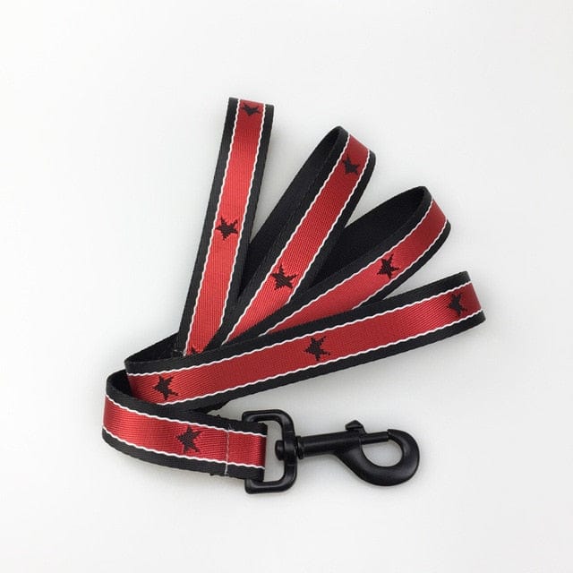 Star Embroidery Dachshund Harness Red Leash / S The Doxie World