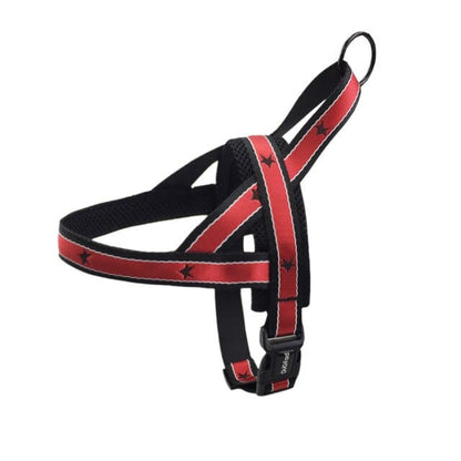 Star Embroidery Dachshund Harness Red harness / S The Doxie World