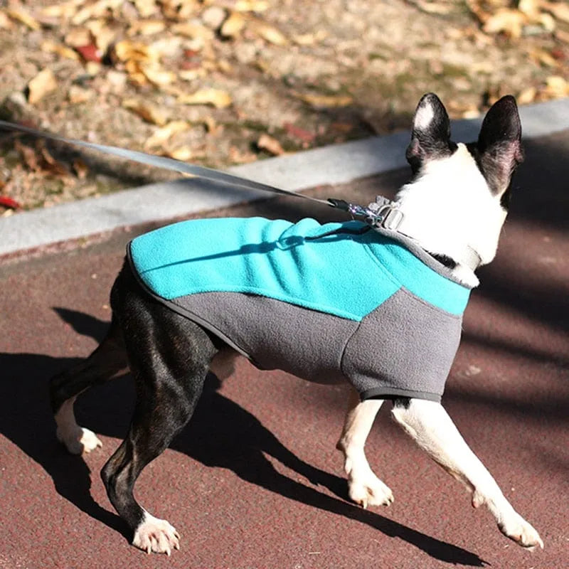 Stretch Dachshund Jacket thedoxieworld