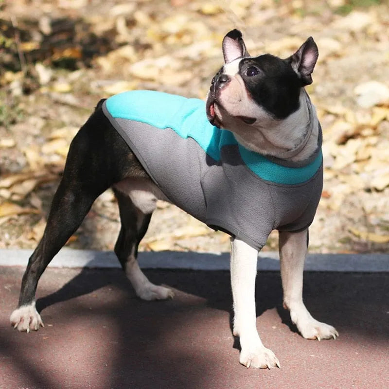 Stretch Dachshund Jacket thedoxieworld