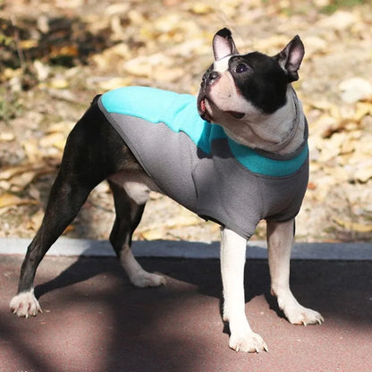 Stretch Dachshund Jacket thedoxieworld