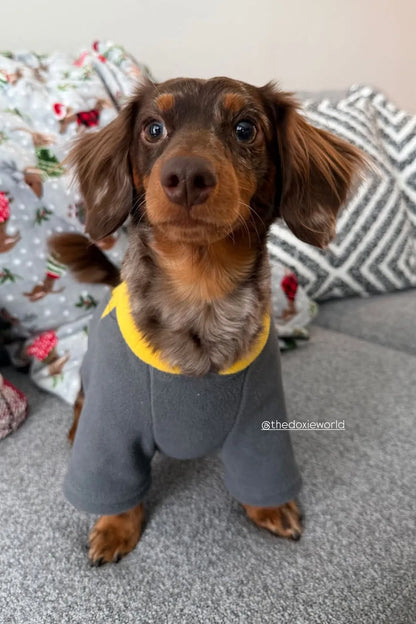Stretch Dachshund Jacket thedoxieworld