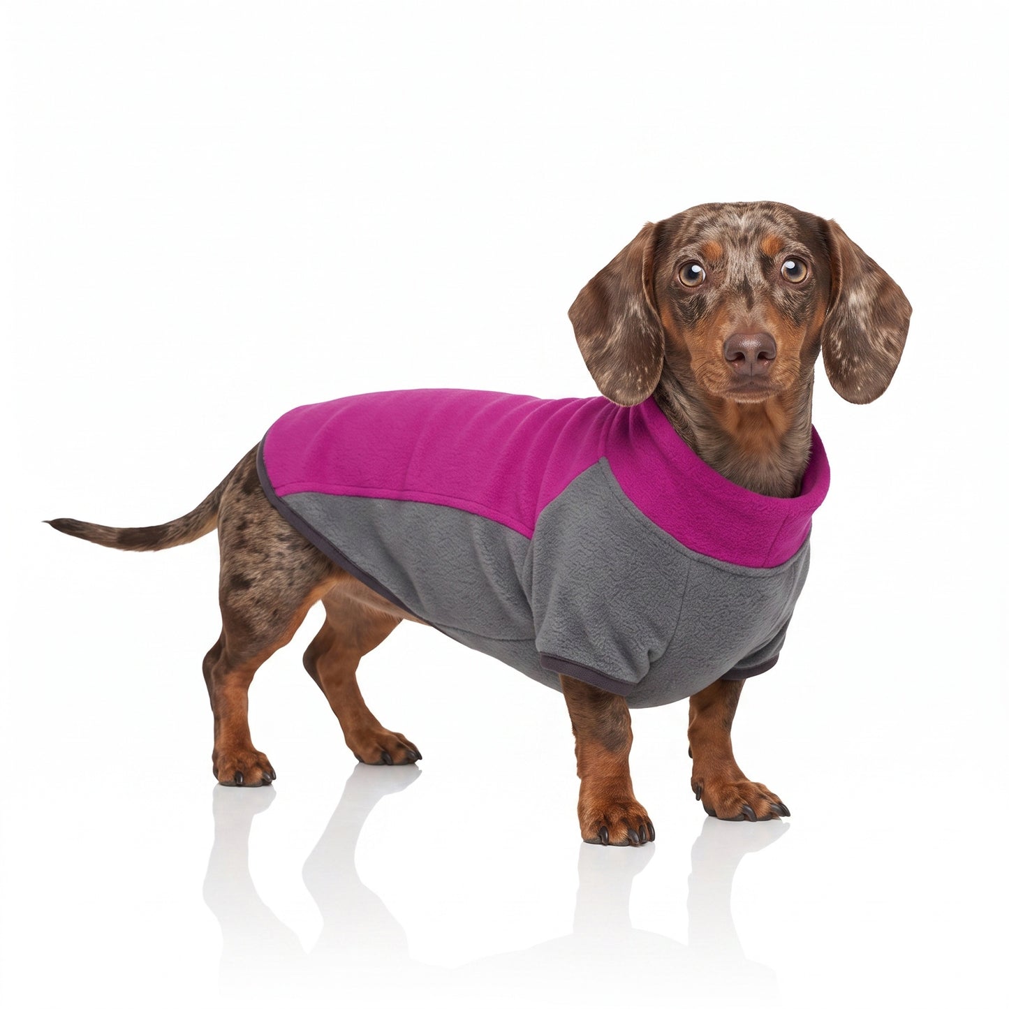 Stretch Dachshund Jacket thedoxieworld