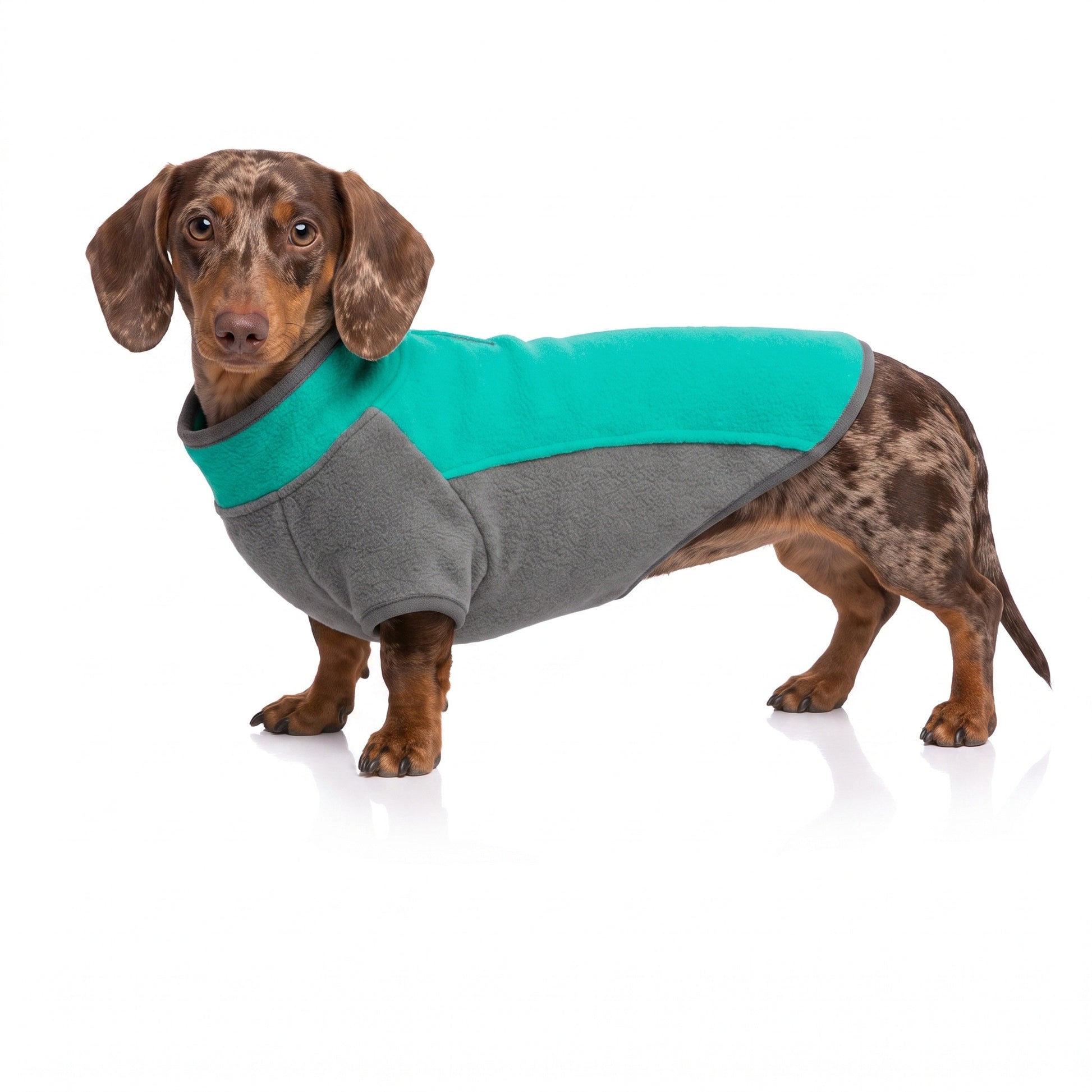 Stretch Dachshund Jacket Green / XS thedoxieworld