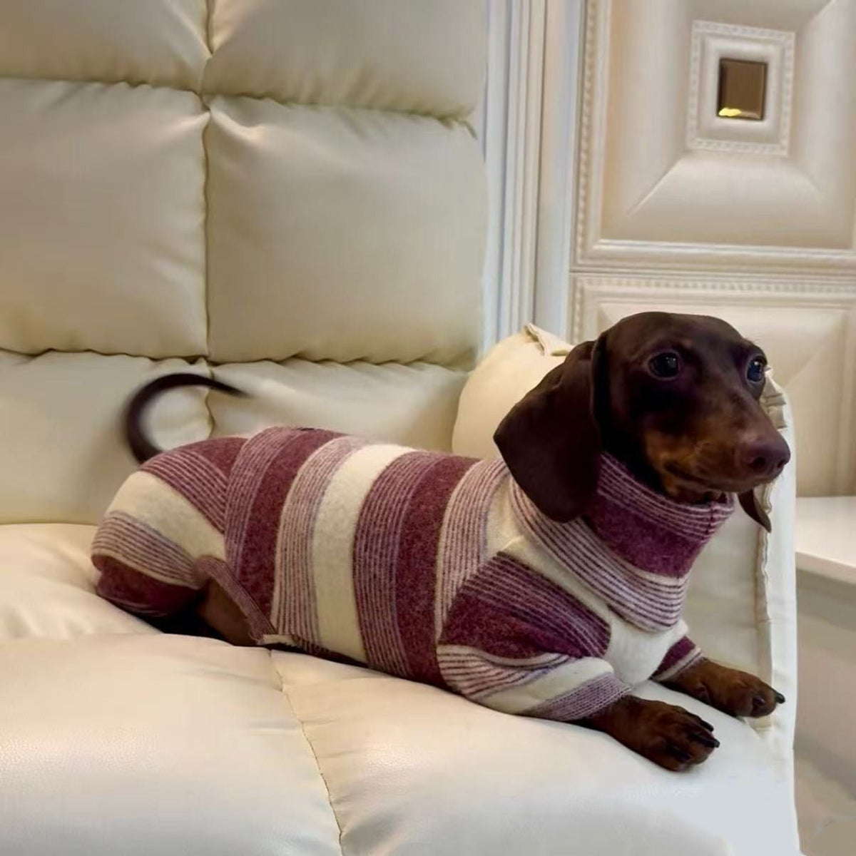 Striped Dachshund High Neck Onesie The Doxie World