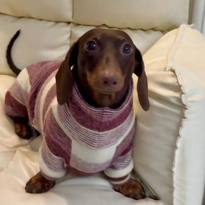 Striped Dachshund High Neck Onesie The Doxie World
