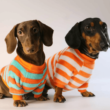 Striped Dachshund Sweater The Doxie World