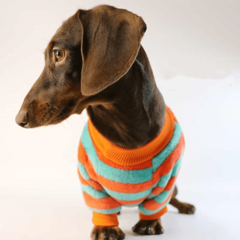 Striped Dachshund Sweater The Doxie World