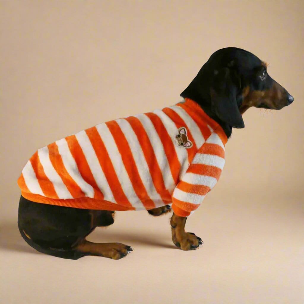 Striped Dachshund Sweater The Doxie World