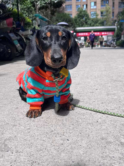 Striped Dachshund Sweater The Doxie World