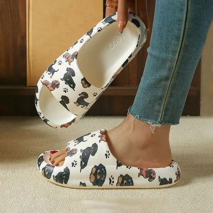 Summer Dachshund Slides The Doxie World