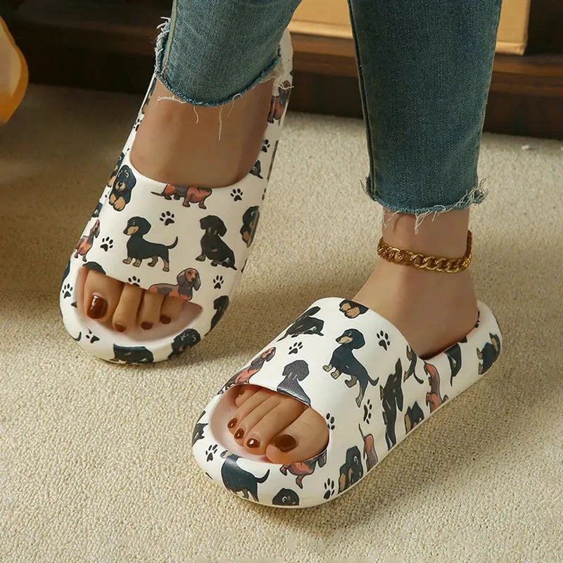 Summer Dachshund Slides The Doxie World