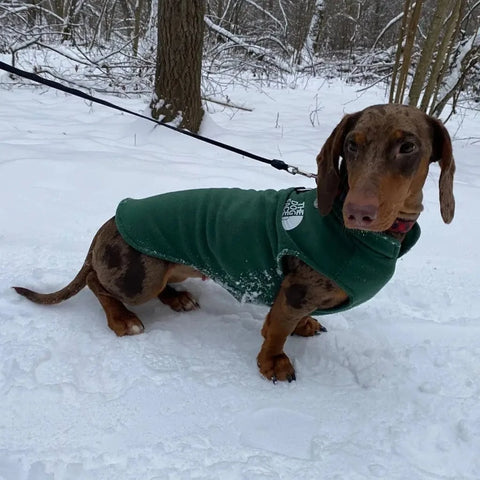 The Dog Face Dachshund Fleece Jacket Green / S The Doxie World