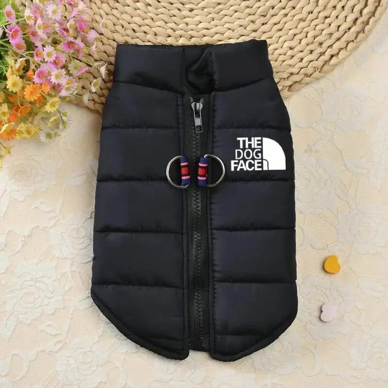 The Dog Face Dachshund  Jacket 1 / S The Doxie World