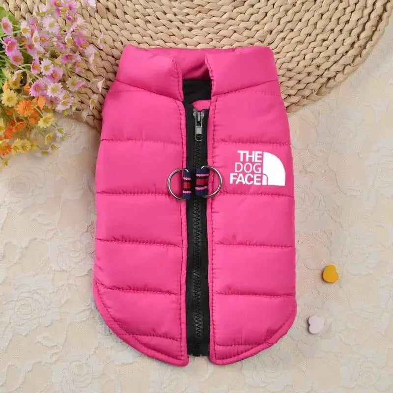 The Dog Face Jacket for Dachshund Pink / S The Doxie World