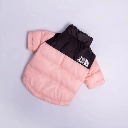 The Dog Face Jacket For Dachshunds The Doxie World