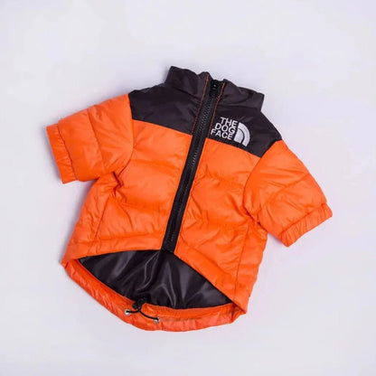 The Dog Face Jacket For Dachshunds Orange / XS The Doxie World