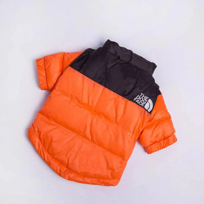 The Dog Face Jacket For Dachshunds The Doxie World