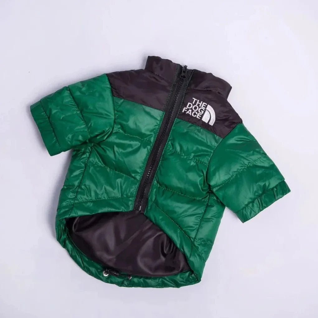 The Dog Face Jacket For Dachshunds Green / XS The Doxie World