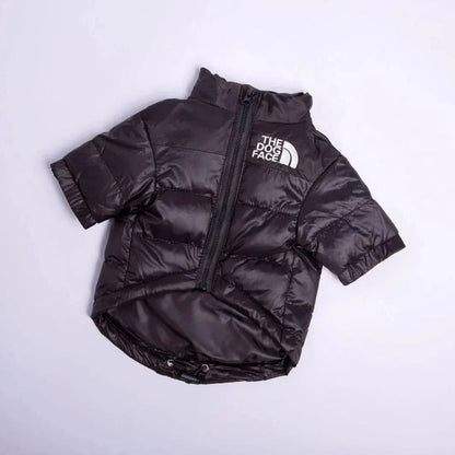 The Dog Face Jacket For Dachshunds The Doxie World