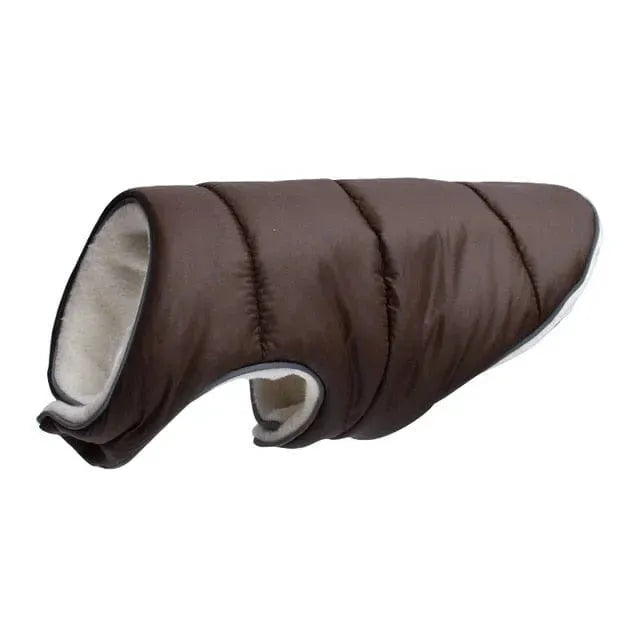 Tucker Dachshund Jacket dark coffee / 6XL thedoxieworld
