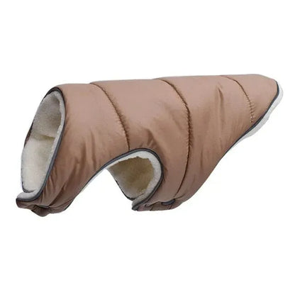 Tucker Dachshund Jacket light coffee / XS thedoxieworld