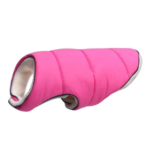 Tucker Dachshund Jacket pink / 6XL thedoxieworld