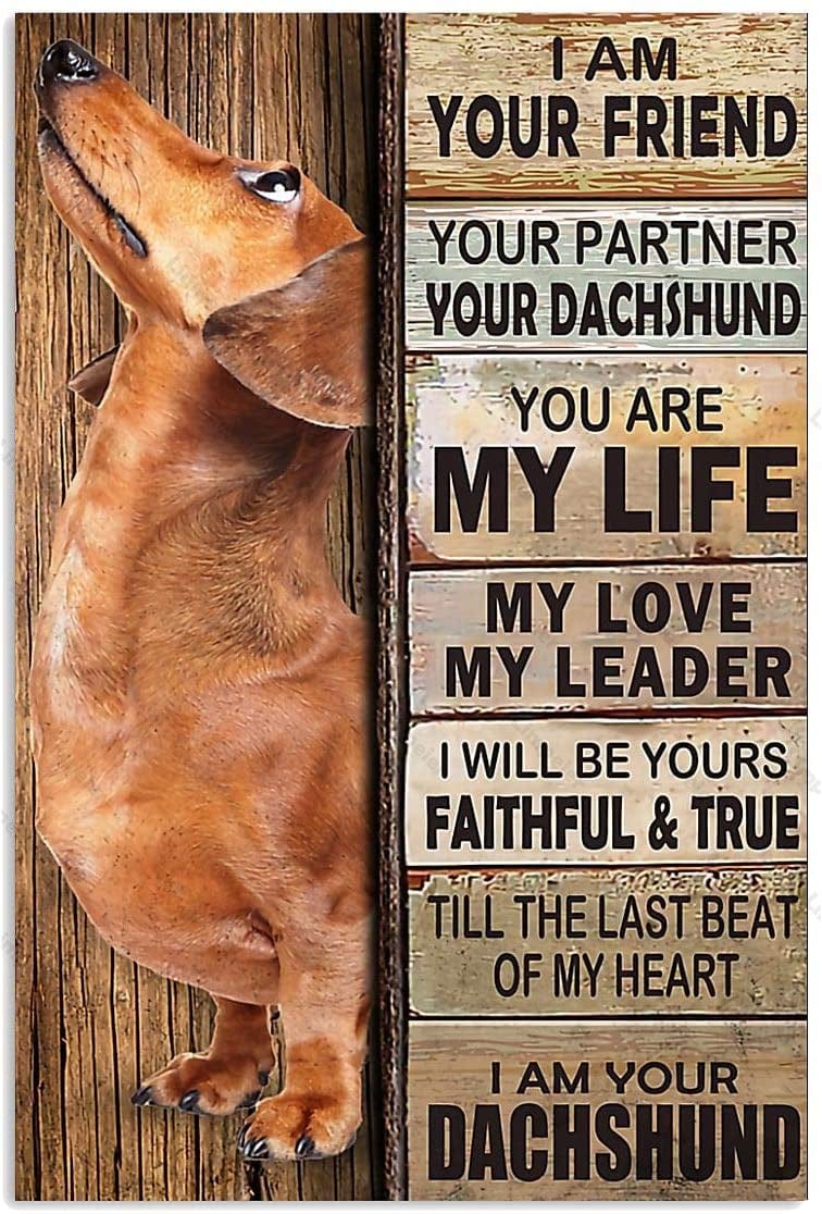 Types of Dachshunds Wall Art I am your friend / 20x30cm/7.8"x11.8" The Doxie World