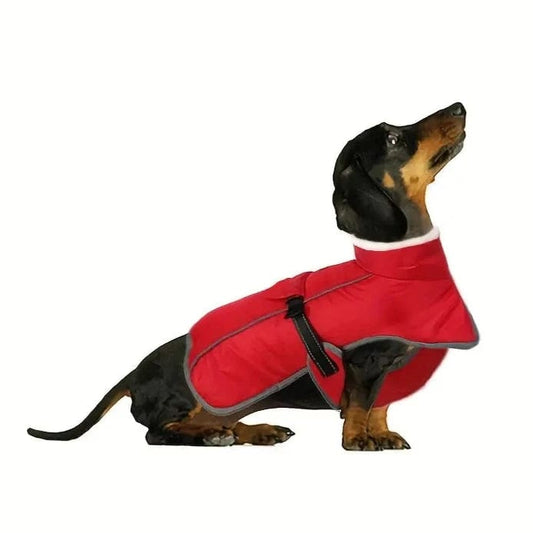 Warm Fleece Dachshund Coat Red / S The Doxie World