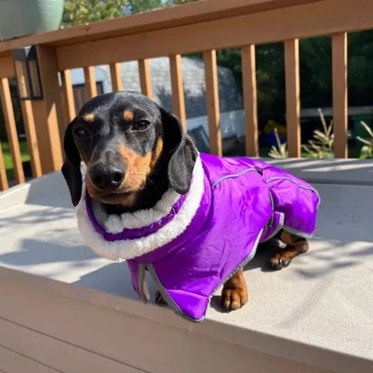 Warm Fleece Dachshund Coat The Doxie World