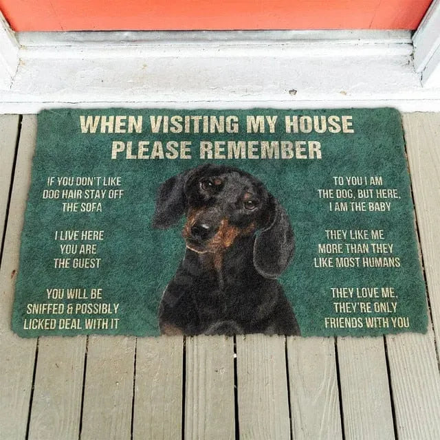 When Visiting My House Please Remember Dachshund Doormat 40cmx60cm The Doxie World