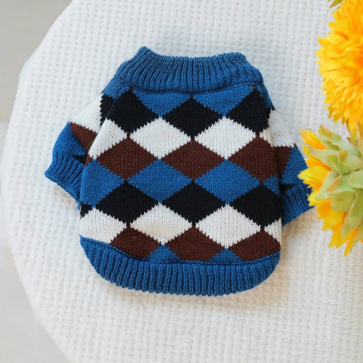 Wiener Dog Check Sweater XS The Doxie World