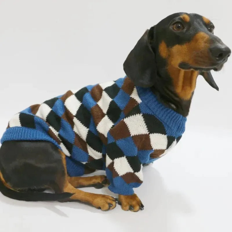 Wiener Dog Check Sweater The Doxie World