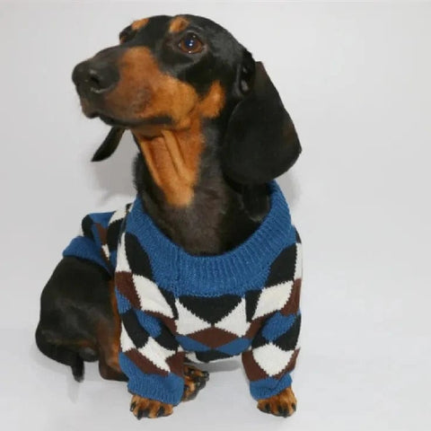 Wiener Dog Check Sweater The Doxie World