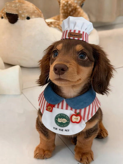 Wiener Dog Chef Costume The Doxie World
