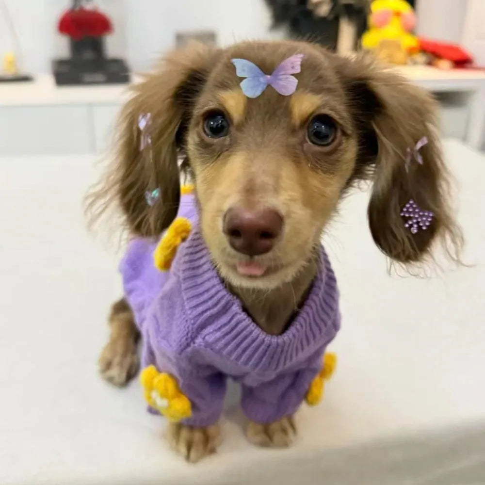 Wiener Dog Purple Sweater The Doxie World