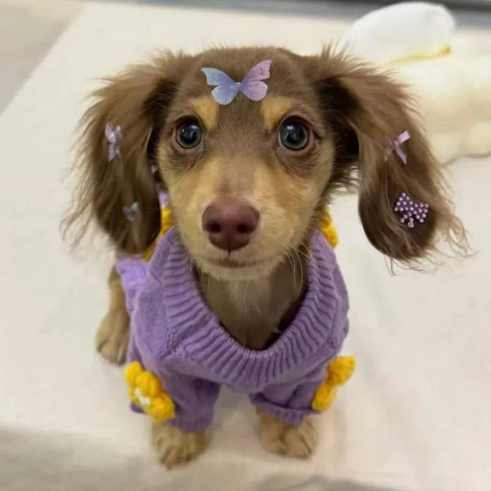 Wiener Dog Purple Sweater The Doxie World